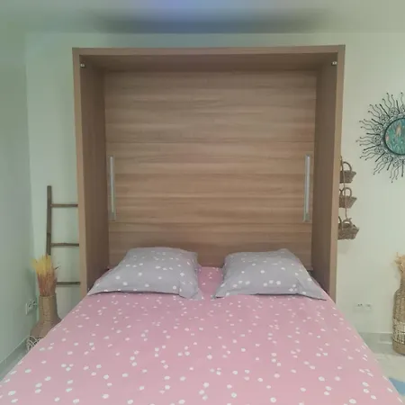 La Tropicale, Climatise Avec Parking, Proche Cite Medievale *