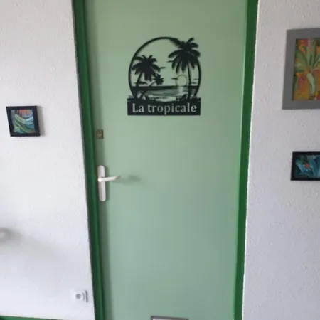Apartmán La Tropicale, Climatise Avec Parking, Proche Cite Medievale