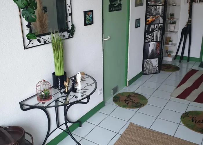 Appartement La Tropicale, Climatisé Avec Parking, Proche Cité Médiévale *