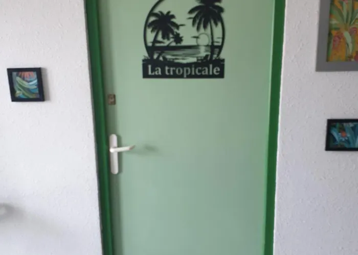 Appartement La Tropicale, Climatisé Avec Parking, Proche Cité Médiévale